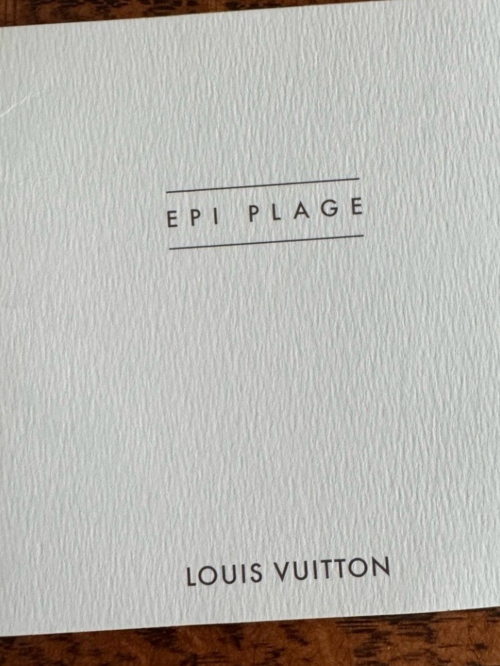 Louis Vuitton Epi Plage Mini Lagoon Bay Tote Bag w/Dust Bag and COA - Picture 13 of 16